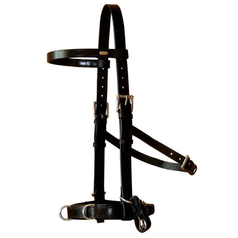 Viena Training Bridle